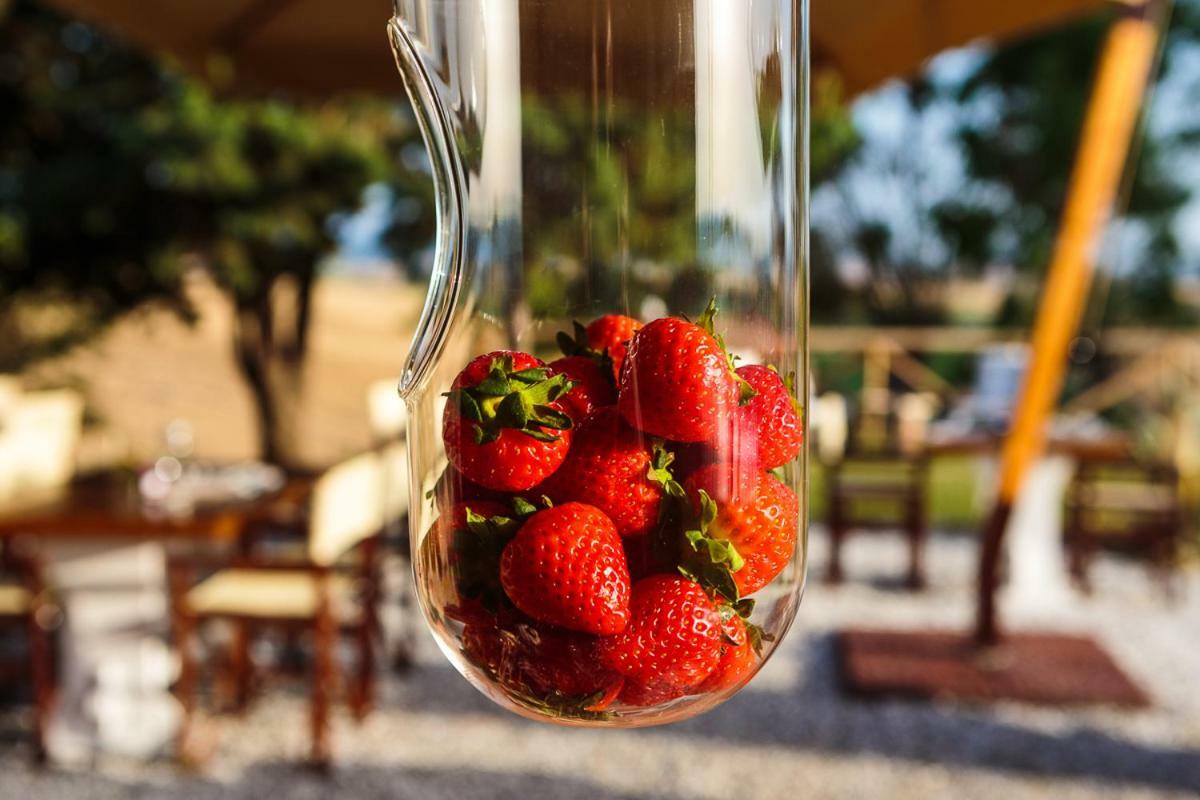 Bed and Breakfast Il Montelletto Santa Luce Zewnętrze zdjęcie